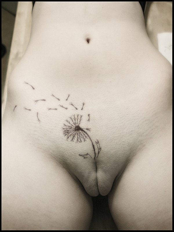 Special Nudes kmarzorati: “dandellion tatoo - 1st draft” -...; Camel Toe Female Friendly Stylish Shaved 